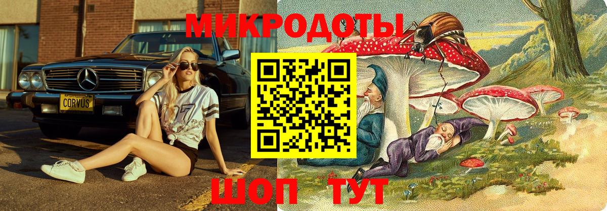 Псилоцибиновые грибы Psilocybine cubensis Домодедово